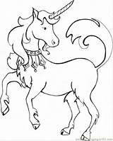 Coloring Unicorns Unicorn Fantasy Tattoo Pages sketch template