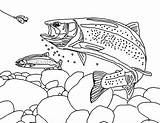 Trout Coloring Printable Pages Rainbow Drawing Fishing Fish Book Template Sheets Landscape Kids Fly Adult Drawings Patterns Adults Print Animals sketch template