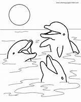 Dolphin Coloring Pages Cute Dolphins Kids Baby Printable Heads sketch template