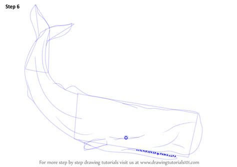 step by step how to draw moby dick