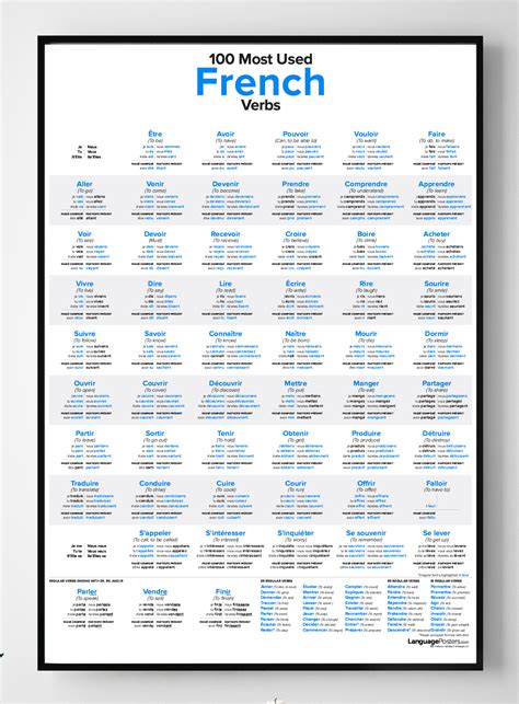 french verbs poster  study guide french verbs basic