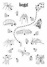 Worksheet Worksheets Insect Bug Preschoolers sketch template