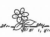 Coloring Flowers Pages Grass Flower sketch template