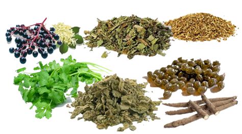 top  natural detox herbs   natural cleanse