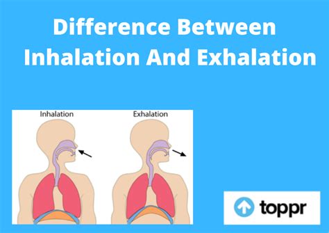 difference  inhalation  exhalation  tabular form
