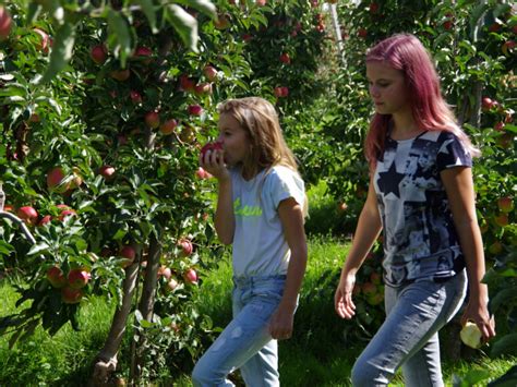 fruit nl  beeld welkom  de wereld van fruit nl