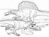 Spinosaurus Coloring Pages Vs Color Printable Realistic Dinosaur Within Year Avancna Bw Rugops Jurassic Deviantart Wonderful Birijus Park Dinosaurs Kids sketch template