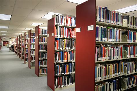 bibliotheek leestips ontdek de mogelijkheden van de bibliotheek alleszelfnl