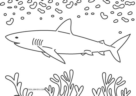 printable shark coloring pages  kids