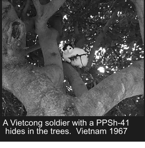 Search Viet Cong Memes On Me Me