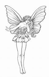 Garden Fairy Drawings Coroflot Coloring Pencil Drawing Sketch Mikesell Nicholas Pages Fairies Designs Choose Board Line sketch template