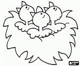 Nid Oisillons Printemps Kleurplaten Vogels Leur Vogeltjes Lente Drie Oiseau Nido Bezoeken Uccelli Wachten Kuikens Knutsels Vogeltje Kleurplaatkleurplaten Yoo Artikel sketch template