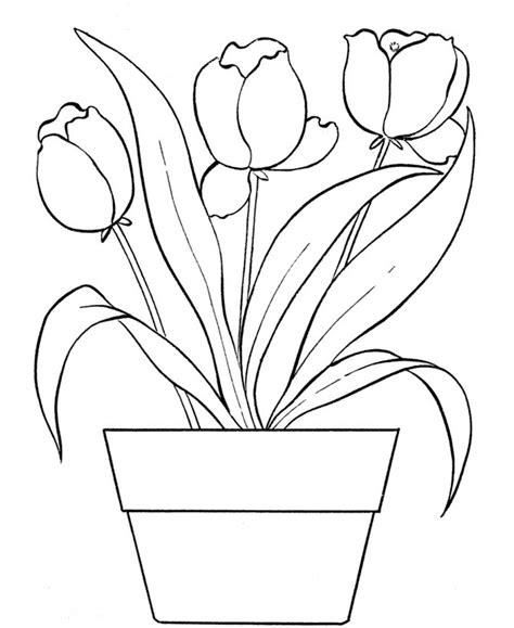 tulip coloring page print color craft