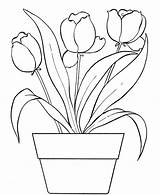 Coloring Tulip Pages Printable Tulips Flowers Color Print Flower Kids Flores Pot Related Posts Colour Adult sketch template