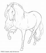 Horse Lusitano Lineart Head Front Drawing Deviantart Stats Downloads Getdrawings sketch template