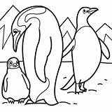 Coloring Penguin Emperor Pages Kids Penguins sketch template