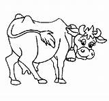 Vaca Vache Mucca Lechera Lola Colorier Vacas Tauro Rigolote Jonney Acolore Dibuix Lecheras Animadas Cows Dibuixos Vaches Coloritou Infantiles Populaire sketch template