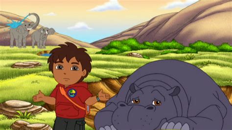 diego  season  episode  diego reunites hippo