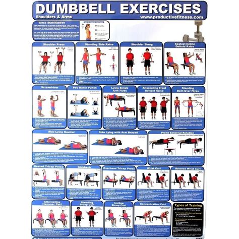 productive fitness poster series dumbbell exercises upper core home  walmartcom