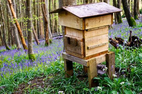 houten bijenkorf met bijen op een bloeiend bijenveld stock foto image  bijen bijgebouw