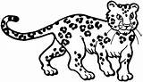 Leopard Coloring Pages Print Snow Printable Color Drawing Kids Cartoon Simple Template Animal Getdrawings Supercoloring Getcolorings Coloringhome sketch template