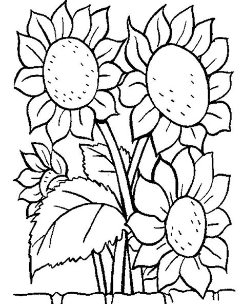 picture  sunflower coloring pages disney coloring pages