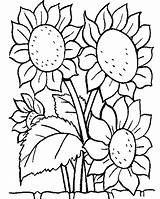 Sunflower Coloring Pages Kids Sunflowers Printable Color Sheets Colouring Flower Sheet Flowers Book Zonnebloem Coloriage sketch template