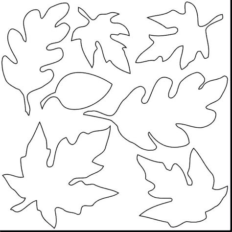 httpentucorgprintable leaves coloring pages leaf coloring page