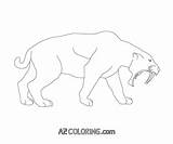 Coloring Tiger Saber Tooth Pages Comments Coloringhome sketch template
