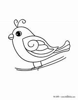 Oiseau Pajaros Oiseaux Passarinho Ausdrucken Hellokids Ausmalen Vogel Fofo Passarinhos Fofinhos Silhouetten Burung Facile Dessins Colorier تلوين عصفور Pájaros Paradis sketch template