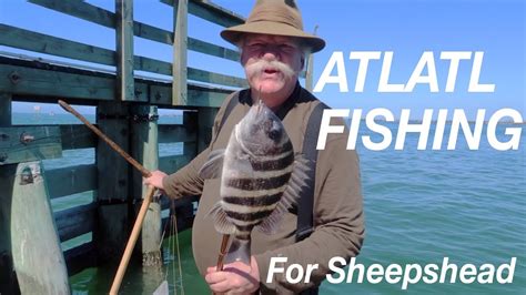 atlatl fishing  sheepshead  florida youtube