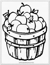 Coloring Apple Pages Printable Fruit Preschoolers Print Kids Choose Basket sketch template