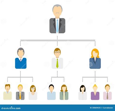 hierarchical tree diagram business structure stock illustration
