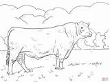 Coloring Angus Bull Pages Printable Supercoloring Drawing sketch template
