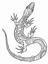 Lizard Zentangle Adults Reptile Colorless Tattooimages sketch template