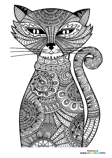 cat coloring page  adults coloring pages  kids