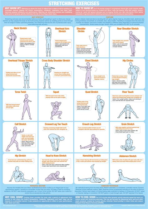 Stretching Exercise Chart Chartex