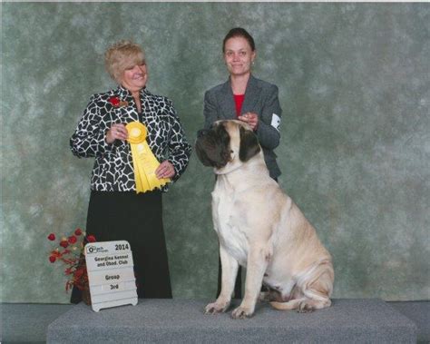 northernpaws kennel our champions