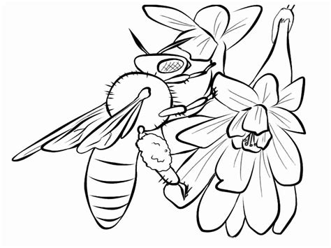 honey bee coloring page awesome bees coloring pages realistic bee