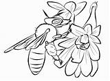 Coloring Pages Bee Insect Realistic Printable Honey Beehive Getdrawings Printables Rainbow Flower Fish Guy Th Car Family Drawing Amazing Flying sketch template