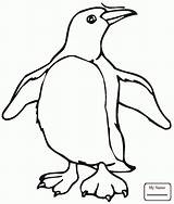 Penguin Getdrawings King Drawing sketch template
