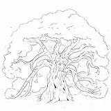 Tree Oak Coloring Forest Pages Trees Guard Drawing Leaf Color Getcolorings Printable Getdrawings Family sketch template