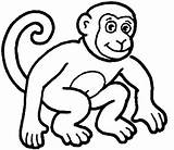 Monkey Coloring Pages Realistic Cute Popular sketch template