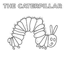 eric carle coloring pages  printables  images eric carle