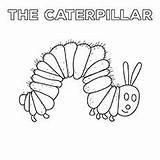 Carle Eric Bear Momjunction Caterpillar Classroom sketch template