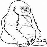 Gorilla Designlooter sketch template