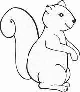 Squirrel Eekhoorn Kleurplaat Eikel Pbworks Downloaden sketch template