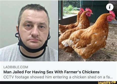 sade com man jailed for having sex with farmer s chickens cctv footaae