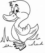 Clipart Ducks Cartoon Duck Funny Library Coloring Pages sketch template