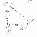 Jack Russell Terrier Coloring Dog Color Drawing Sitting Line Pages Drawings Template Russel Own Sit Print Cute Kids Terriers sketch template